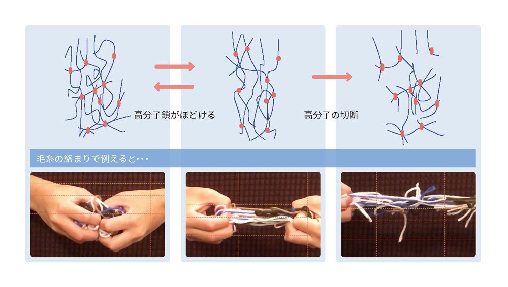 高分子鎖の劣化メカニズムを説明する図。上部には三つの段階に分けて高分子鎖が示されており、左から順に「高分子鎖がほどける」状態と「高分子の切断」状態が描かれている。各段階は矢印で繋がれている。下部には「毛糸の絡まりで例えると」というキャプションの下に、手で毛糸を引っ張ってほどける過程が三つの写真で順に示されている。左は絡まった毛糸を両手で持っている状態、中は毛糸を引っ張ってほどけ始めている状態、右は毛糸が完全にほどけた状態が描かれている。