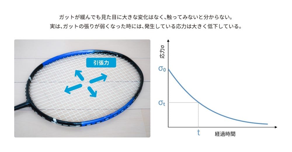 テニスラケットのガットの緩みと応力の関係を示す図。左側には青いフレームのテニスラケットの画像があり、「引張力」と書かれたラベルがガットに向けて矢印で示されている。右側には応力が経過時間と共に減少するグラフがあり、縦軸が「応力」、横軸が「経過時間」を示している。グラフは初期応力σ0から時間t経過後の応力σtに向けて減少する様子を描いている。上部には「ガットが緩んでも見た目に大きな変化はなく、触ってみないと分からない。実は、ガットの張りが弱くなった時には、発生している応力は大きく低下している。」という説明が記載されている。